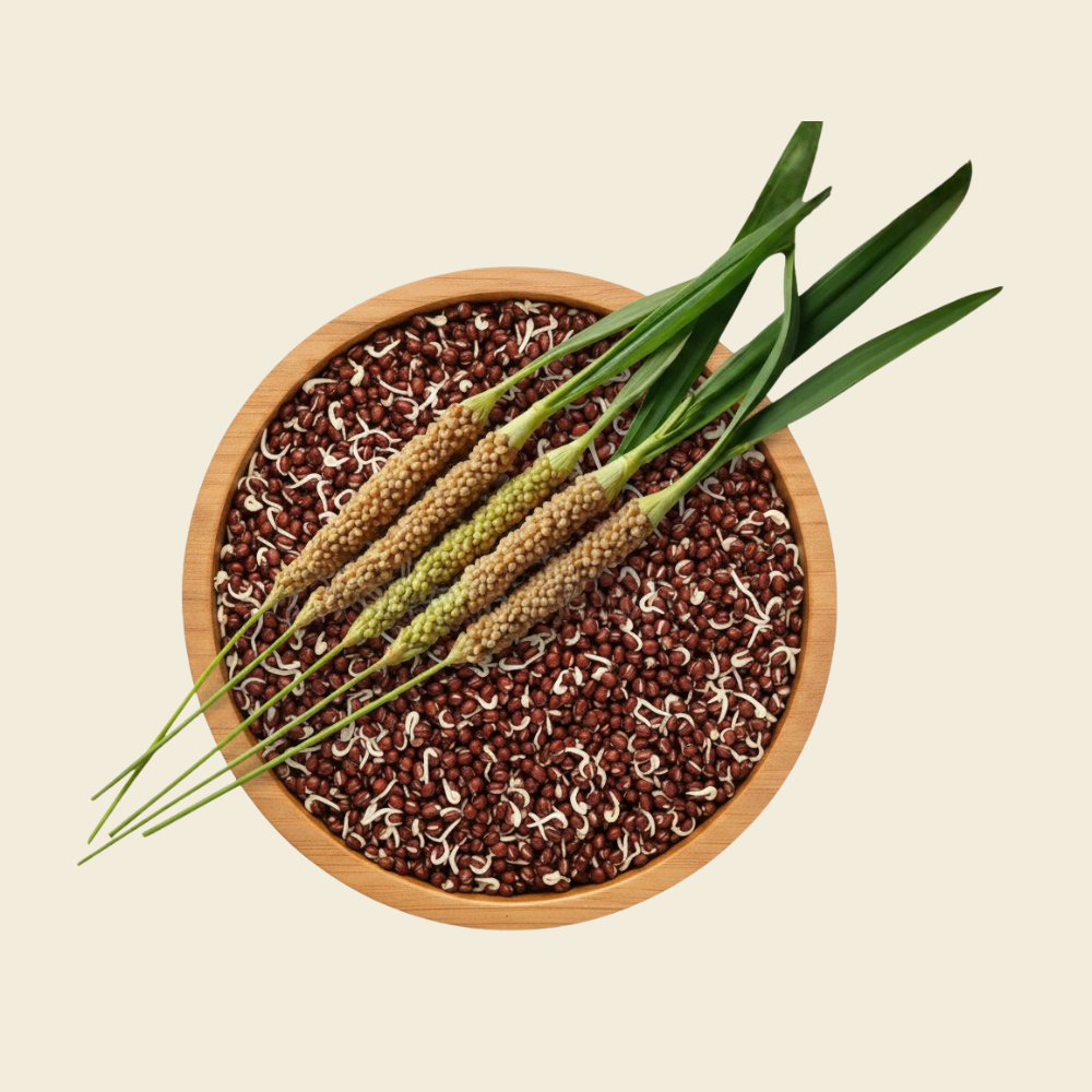 Sprouted Raggi Natural & Preservative-Free Food Products from Kerala | Roots & Rope ...